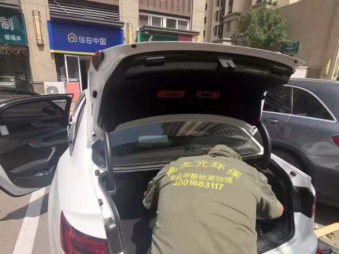 奧迪車車內(nèi)負氧離子空氣凈化